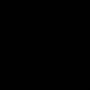 Meet your Posher, Leonardo